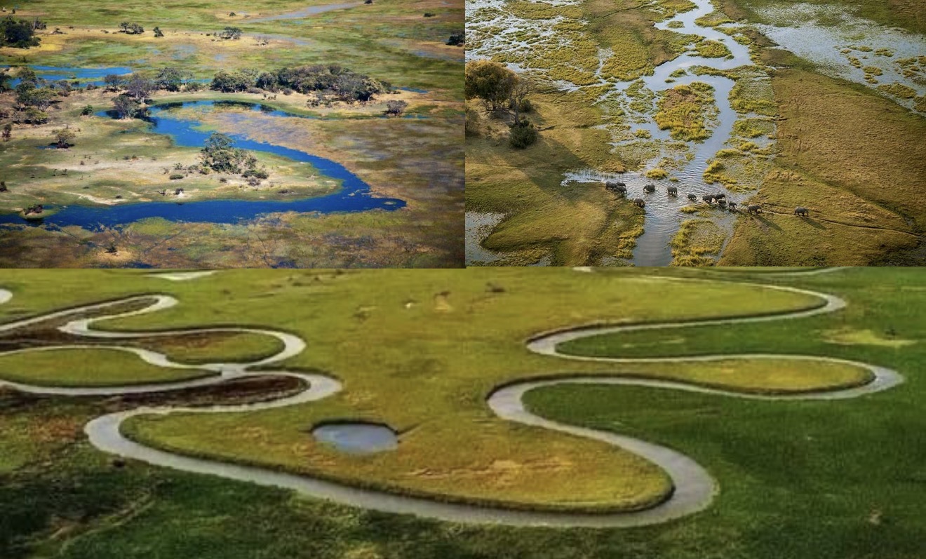 Riqueza ambiental desconhecida: Estudo revela que Angola tem quatro vezes mais turfas do que se pensava e cresce alerta para a conservação das zonas húmidas