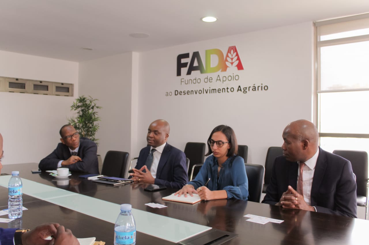 FADA não sabe onde estão mais de 10 mil milhões de kwanzas do FertilizAngola