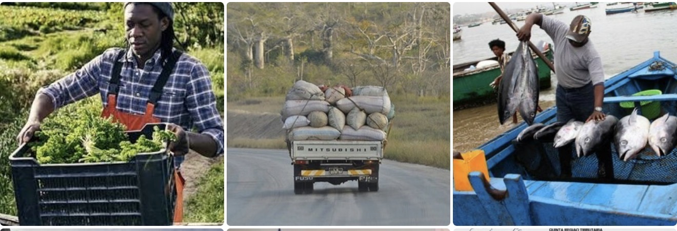 Sem factura e NIF, transporte de peixe e produtos agrícolas poderá ser travado pela AGT a partir de 1 de Julho